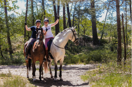 Manege bij Camping Samoza in het bos op de Veluwe VMP090